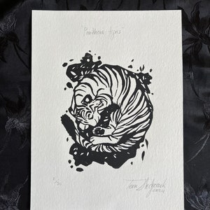 Panthera tigris • Print of a Sleeping Tiger • Linocut print of original animal illustration • Cute cat • Cat art home decor gift