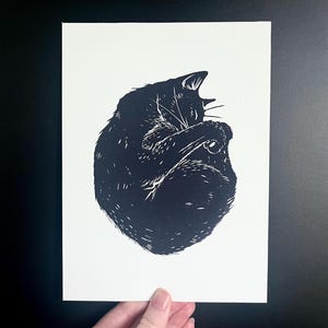 Op de afbeelding: Zwart-wit linoleumsnede van een opgerolde kat. De kat is afgebeeld in een gestileerde, grafische stijl, met gedetailleerde lijnen die textuur cre&euml;ren. De prent staat op wit papier, vastgehouden door een hand, tegen een zwarte achtergrond.