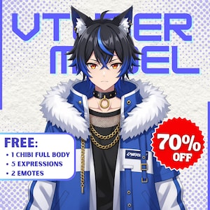 Custom VTuber Live2D Model, VTuber, VTuber Model, VTuber Asset, VTuber Commission, Rigging, Vtuber Commission, Vtuber Streamer, PNGTuber