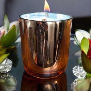 SCENTED LUXURY CANDLE -  Wood Wick Candle, Aromatherapy Candle, Coconut Apricot Wax Candle, Natural Wax Candle, Eco Non-toxic Coco Candle