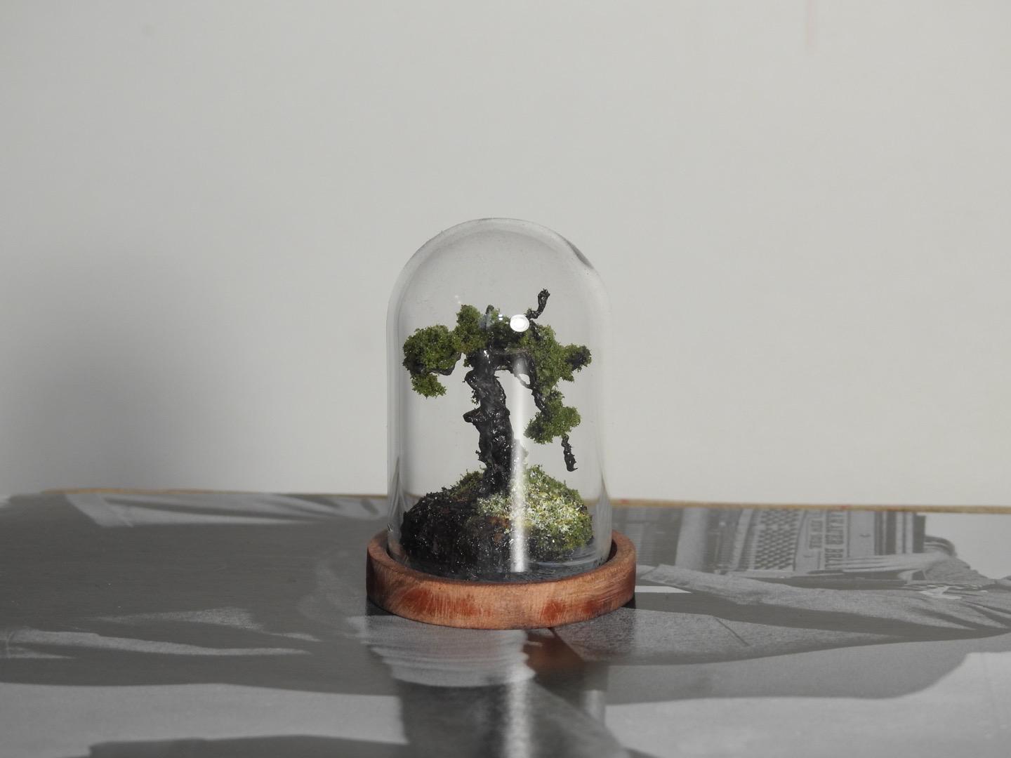 Mini Tree Dome Gardens - Etsy
