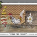 Cartoon Chicken Print - What The Cluck - Signed 8.5"x 11"