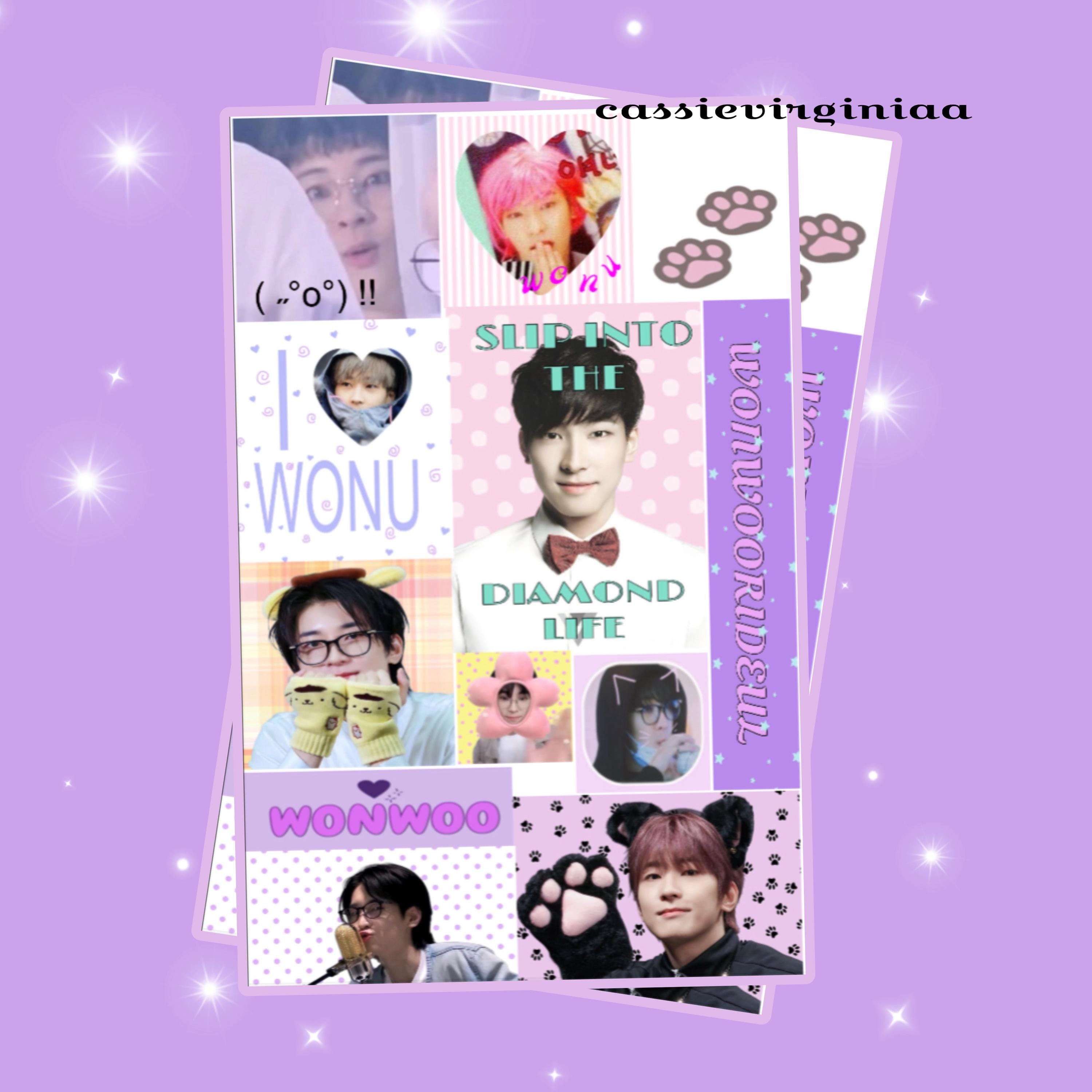 Wonwoo Stickers - Etsy