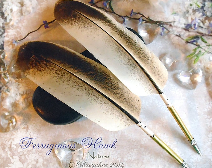 FERRUGINOUS HAWK Natural Totem Feather Quill NIB Pen - Rare