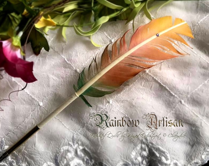 The RAINBOW ARTISAN Feather Quill DIP Pen