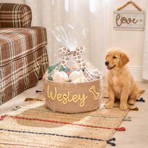 Personalized Pet Toy Basket | Custom Cotton Rope Storage image 8