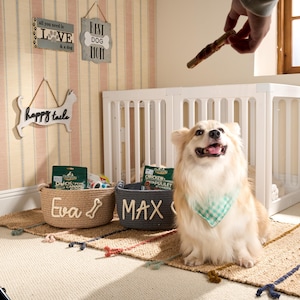 Personalized Pet Toy Basket | Custom Cotton Rope Storage image 14