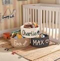 Personalized Pet Toy Basket: Custom Cotton Storage for Dog & Cat Toys