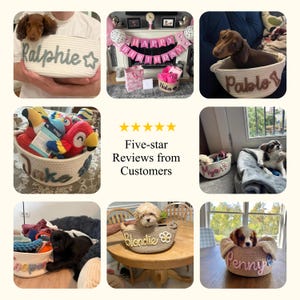 Personalized Pet Toy Basket | Custom Cotton Rope Storage image 11