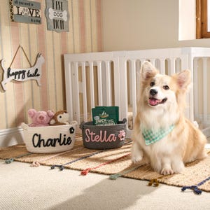 Personalized Pet Toy Basket | Custom Cotton Rope Storage image 16
