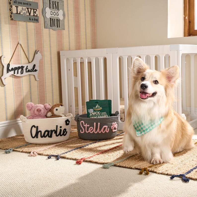 Personalized Pet Toy Basket | Custom Cotton Rope Storage image 16