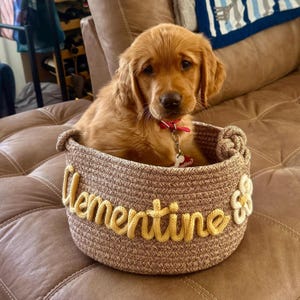 Personalisierter Korb | Haustier Spielzeugkiste | Spielzeugkorb für Hunde | Personalisierter Haustier Spielzeug Korb | Neuer Welpe Geschenk | Neues Katzenspielzeug Hundegeschenk | Aufbewahrungskorb