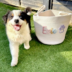 Personalisierter Korb | Haustier Spielzeugkiste | Spielzeugkorb für Hunde | Personalisierter Haustier Spielzeug Korb | Neuer Welpe Geschenk | Neues Katzenspielzeug Hundegeschenk | Aufbewahrungskorb