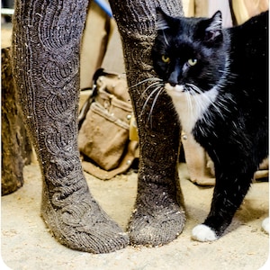 May include: A pair of brown knitted knee-high socks with a black and white cat sitting in front of them.