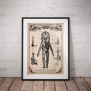 Puede incluir: Una ilustración de estilo vintage de un marciano de la película de los años 50 "Mars Attacks!" La ilustración está etiquetada con detalles anatómicos e incluye un diagrama del arma de rayos del marciano. El texto dice "Mars Attacks!" y "Ace Advaced".