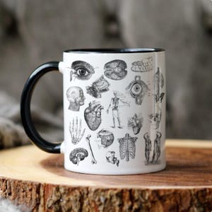 Anatomical Themed Coffee Mug, Great for Medical Students, Unique Gift for Doctors, Halloween Decor, Science Lover&#39;s