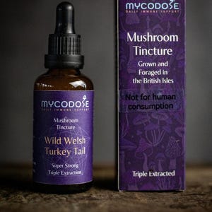 May include: A brown glass bottle of "Wild Welsh Turkey Tail" mushroom tincture with a black dropper, next to a purple box. The box and label read "Mushroom Tincture" and "Daily Immune Support".