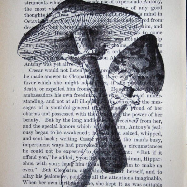 Mushroom Print 1 on Vintage Book Page - 5 x 7