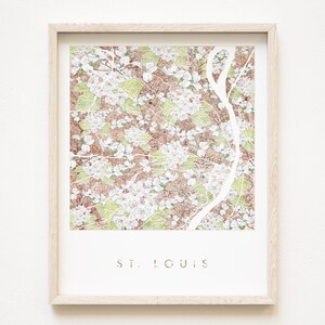 St. LOUIS Karte Hawthorn Dogwood Redbud Botanische Karte Malerei MISSOURI (Kunstdruck) Flora Hochzeit Makler Washington U Abschluss Umzug Geschenk