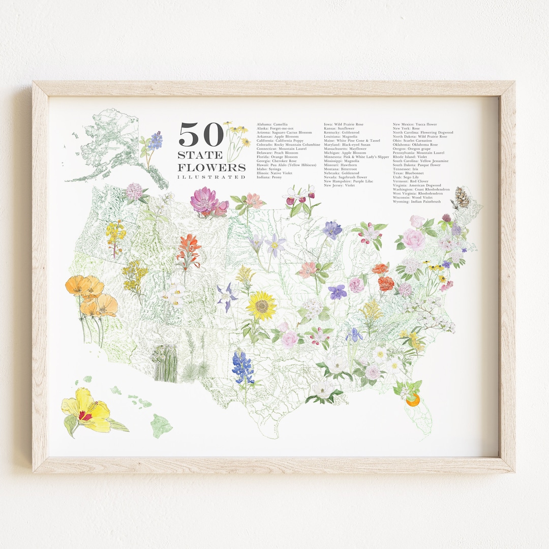 州の花風景地図の描画（アートプリント）50州の花アメリカUSA野生の花