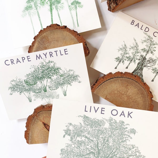 Wedding Table Cards TREES Among the Forest Woodsy Rustic Wedding Choice of 12 cards Douglas Fir Live Oak Magnolia Redwood Sequoia