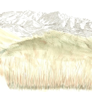 May include: A watercolour painting depicting a grassy field with a mountain range in the background. The grass is a light green and brown colour, and the mountains are a light grey colour. The painting is executed in a realistic style.