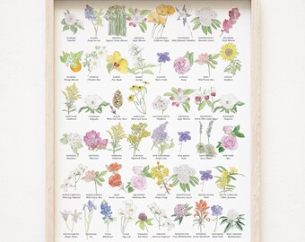 State Flower Art Chart (Art Print) 50 State Flowers America USA Wildflowers Wedding Moving Gift Floral Flower Wall Decor Mothers Day Teacher