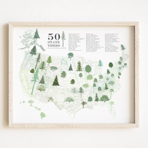 STAATBOOM kaarttekening (kunstafdruk) 50 staat bomen Amerika VS huwelijksverjaardag bewegende cadeau aarde prieel dag boomverzorger leraar cadeau