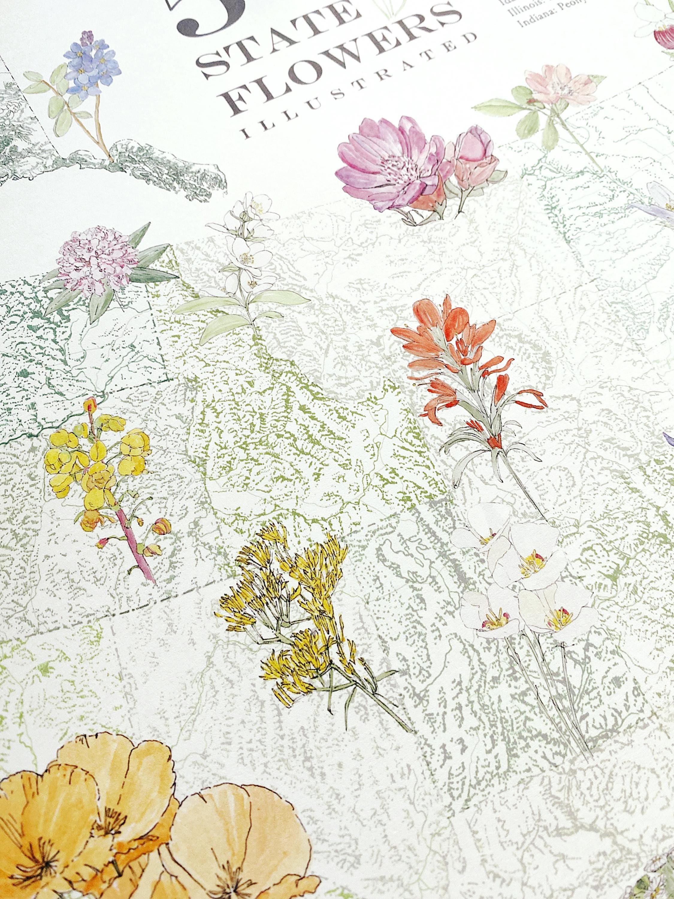 花と風景のアートプリント 州の花風景地図の描画（アートプリント）50州の花アメリカUSA野生の花