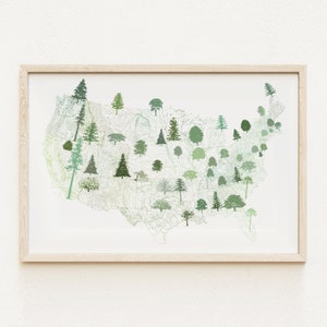 ZUSTAND TREEscape Karte Zeichnung (Kunstdruck) amerikanischer Zustand Bäume Erde Tag Tag des Baumes Druck-Haushalt Dekor Baum Hugger Baumpfleger-Waldgeschenk