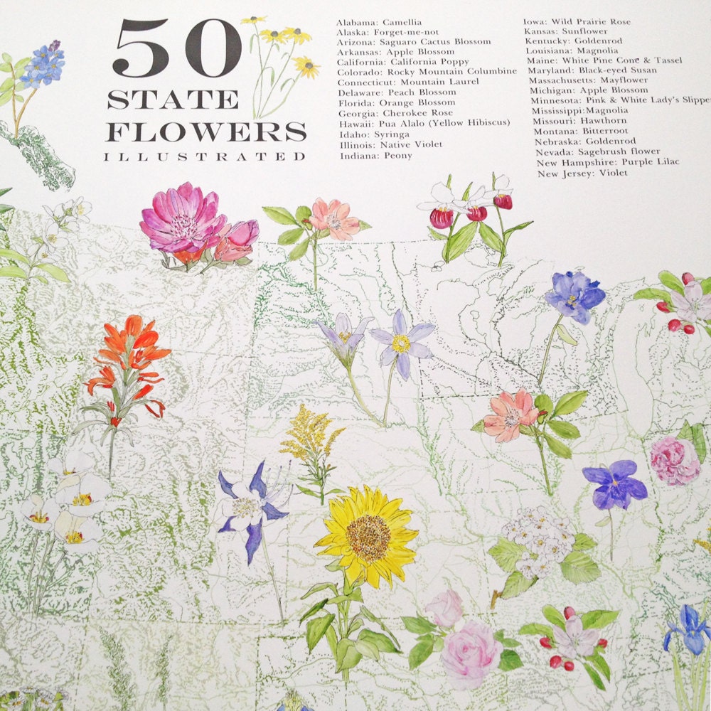 State Flowerscape USA Map of American flowers Sprig By the panel 24x43in Moda State Flowerscape USA Map of American flowers Sprig By the panel 24x43in Moda