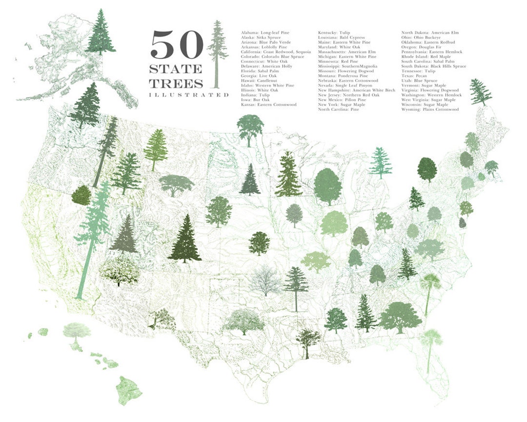 STATE Treescape Map Drawing art Print 50 State Trees America image
