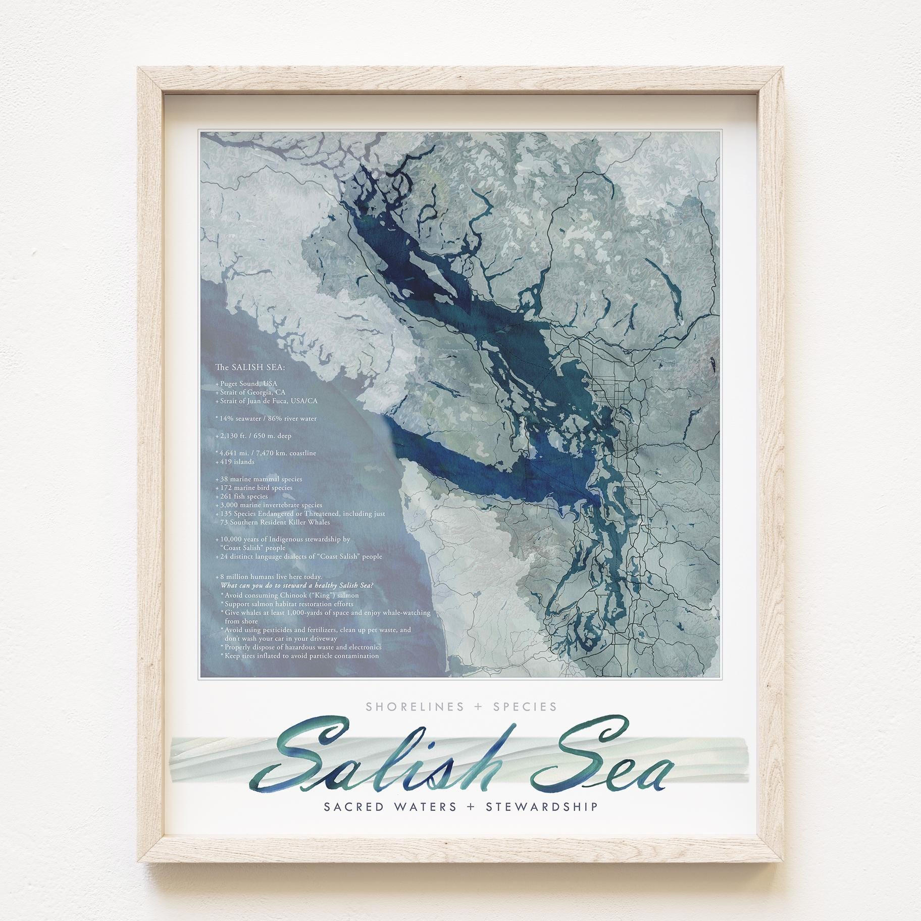 SALISH SEA Map (art Print) Pacific Northwest Coast British