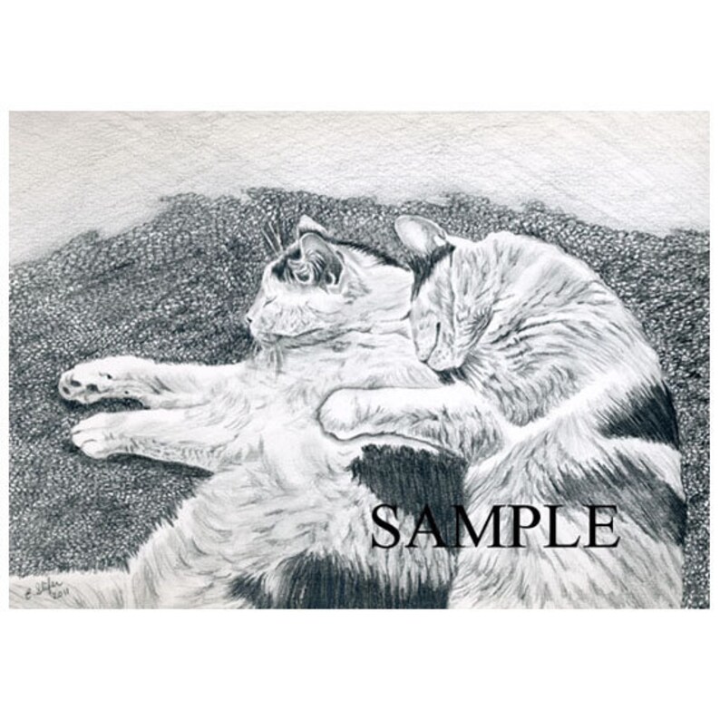 Custom Pet Portraits in Pencil image 1