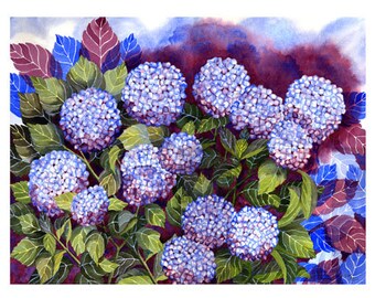 5x7  Blank Cards/Matted Prints - "Blue Hydrangeas"