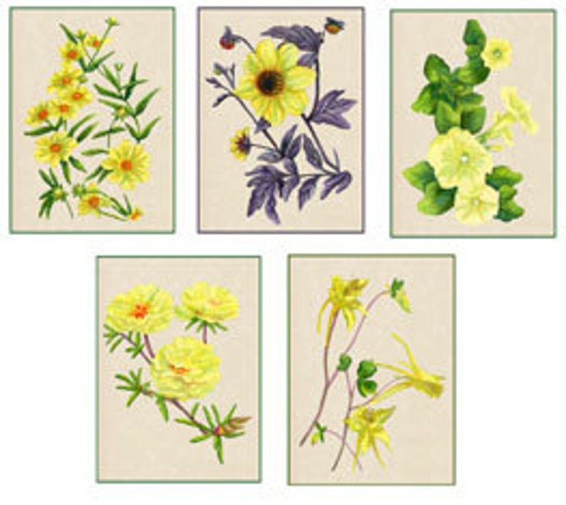 Set of 10 Floral Greeting Cards Yellow Flowers image 1