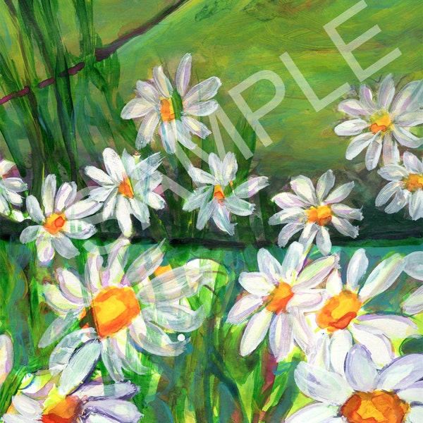 5x7  Blank Cards/Matted Prints - "Daisies of West Virginia" - Vertical