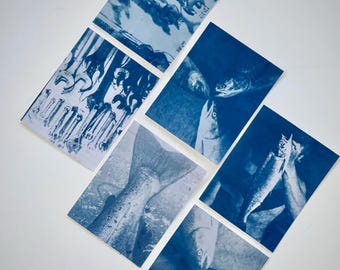 Cyanotype Blank Greeting Cards Assorted Set of 6 | Handmade Stationery Inspired by Alaska Commercial Fishing |