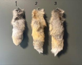 Portachiavi a forma di coda di volpe - tassidermia (code di volpe dell'Isola d'Oro)