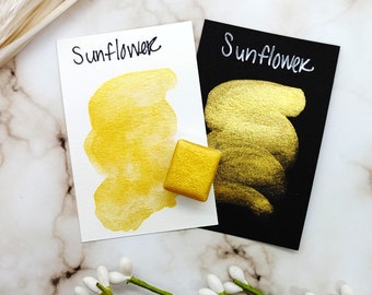 Sunflower - Autumn Vibes Collection