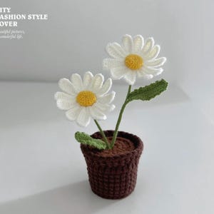 Gehaakte mini madeliefje bloempot pdf Engels patroon, gehaakte mini bloempot amigurumi, gehaakt bloempatroon, decoratie bureaublad plantenpotten