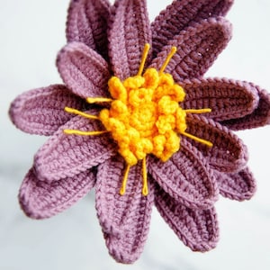 Amigurumi Water Lily Crochet Pattern, Water Lily Crochet Pattern, Crochet Flower Bouquet Pattern, Crochet Flower Pattern, Wedding Flower