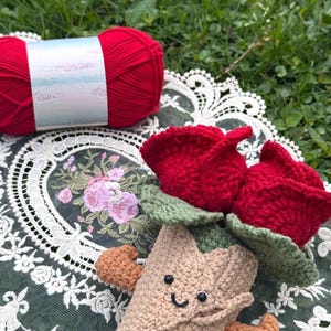 May include: A handmade crochet rose with a smiling face and small arms, with red rose buds and green leaves. A ball of red yarn sits next to the rose on a white lace doily with floral embroidery. The background is green grass.