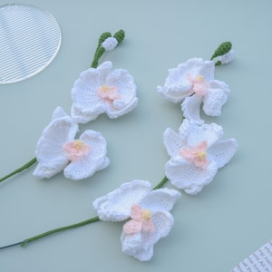 Crochet Orchid Flower PDF Pattern: Phalaenopsis Amigurumi (English)