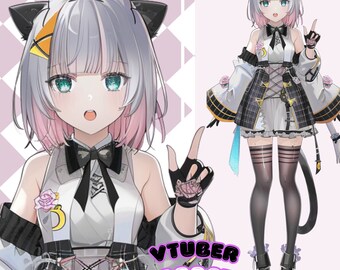 Custom Vtuber Model, Custom Vtuber Design, Vtuber Streamer,  Vtuber Model, Vtuber Model Free, Vtuber, Vtuber Commission, Custom Live2d Model