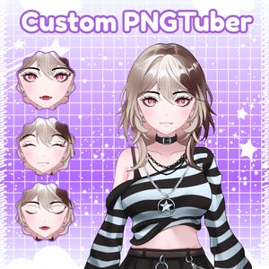 Custom PNGtuber | Pngtuber | Pngtuber Character | Pngtuber Design | Cute PNGtuber | PNGtuber Male | PNGtuber Model ++ | PNGtuber Model | PNG