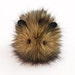 see more listings in the Guinea Pigs section