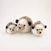 see more listings in the Hedgehogs section