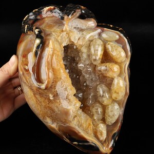 8.5&quot; Premium Brazilian Agate Hand Carved Crystal Snake Sculpture, Crystal Healing