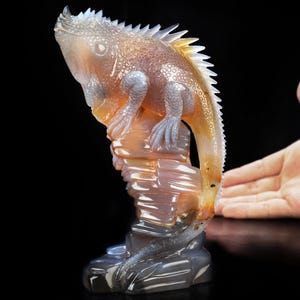 6.3&quot; Premium Brazilian Agate Hand Carved Crystal Lizard Sculpture, Crystal Healing